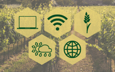 Agricoltura 4.0: una guida pratica e completa ai vantaggi tecnologici e ambientali per costruire un’azienda digitalizzata