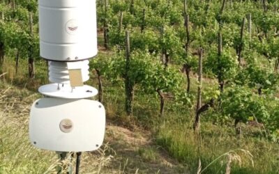 AgriCS – ERSA Progettazione e realizzazione di modelli software previsionali (DSS) agronomici e fitosanitari