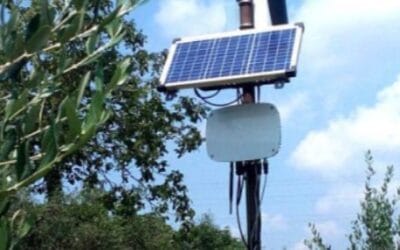 Monitoraggio agrometeo, sensoristica e DSS: l’esperienza AIPO per una gestione intelligente e sostenibile dell’olivicoltura