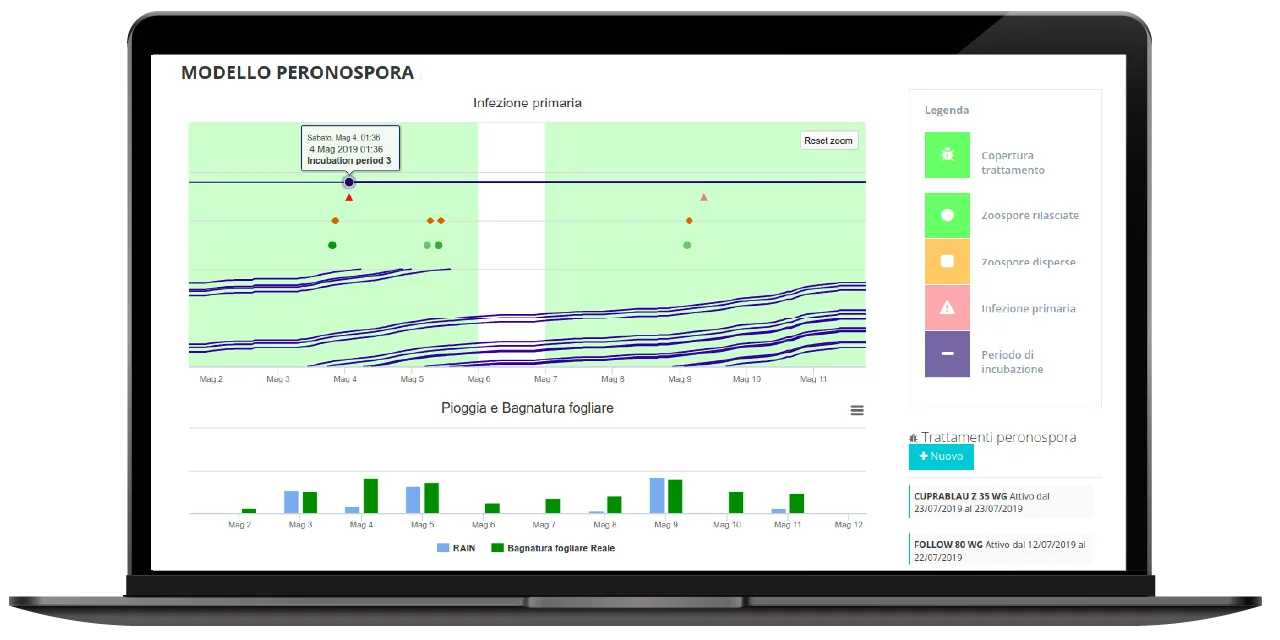 Peronospora della vite