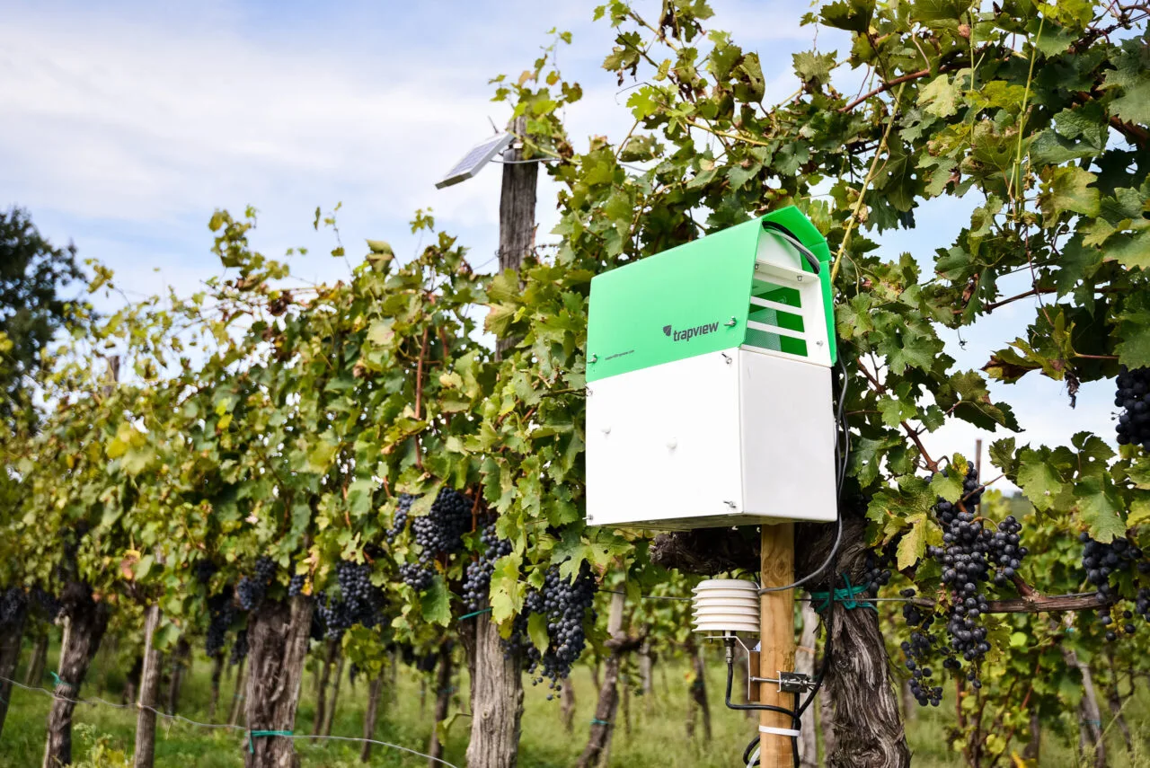 Trapview-EFOS-AutomaticTrap Trappola automatica