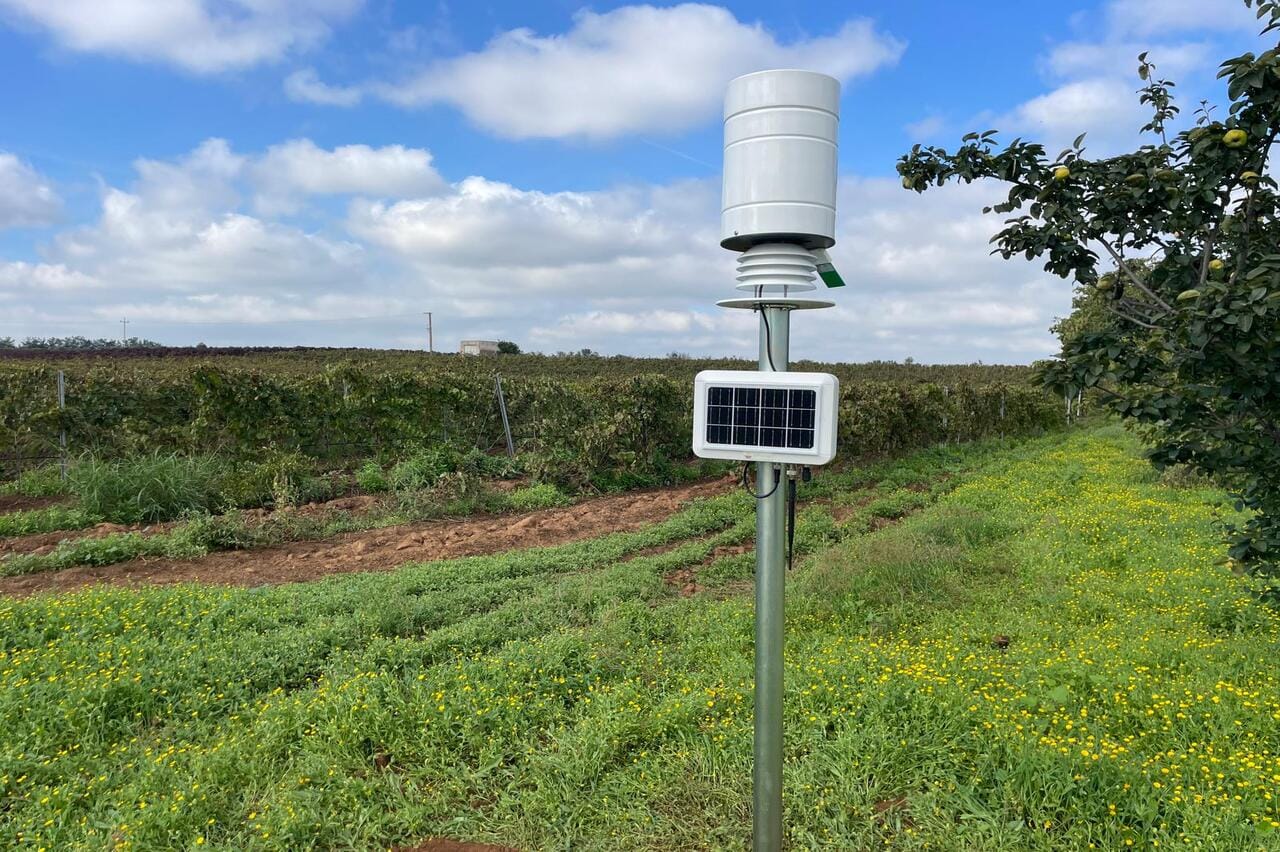 WhatsApp Image 2024-12-23 at 17.47.35 (1) (1)