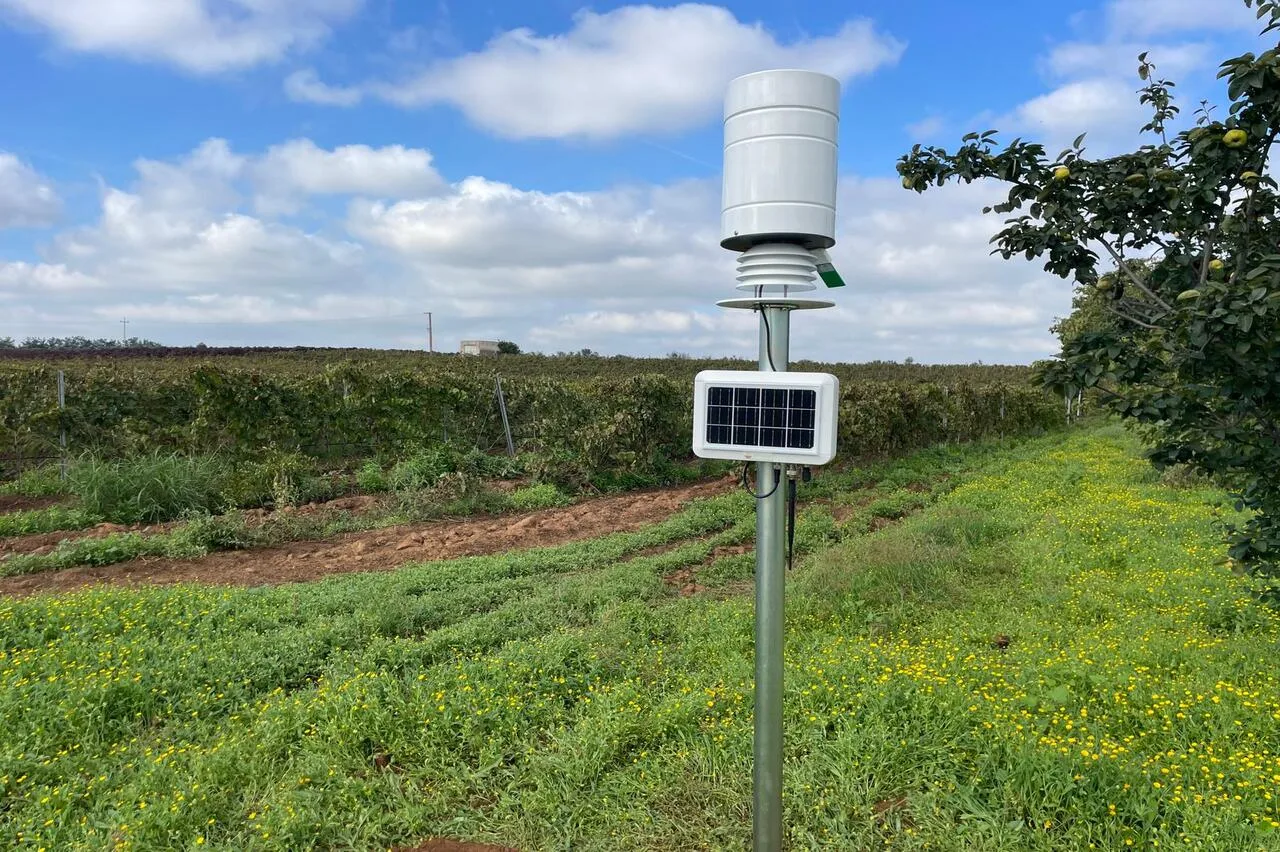 WhatsApp Image 2024-12-23 at 17.47.35 (1) (1)