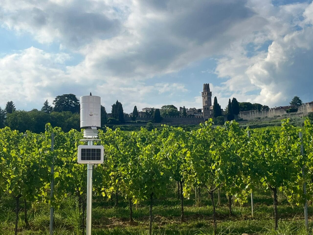 WhatsApp Image 2025-07-28 at 10.10.12 (2)