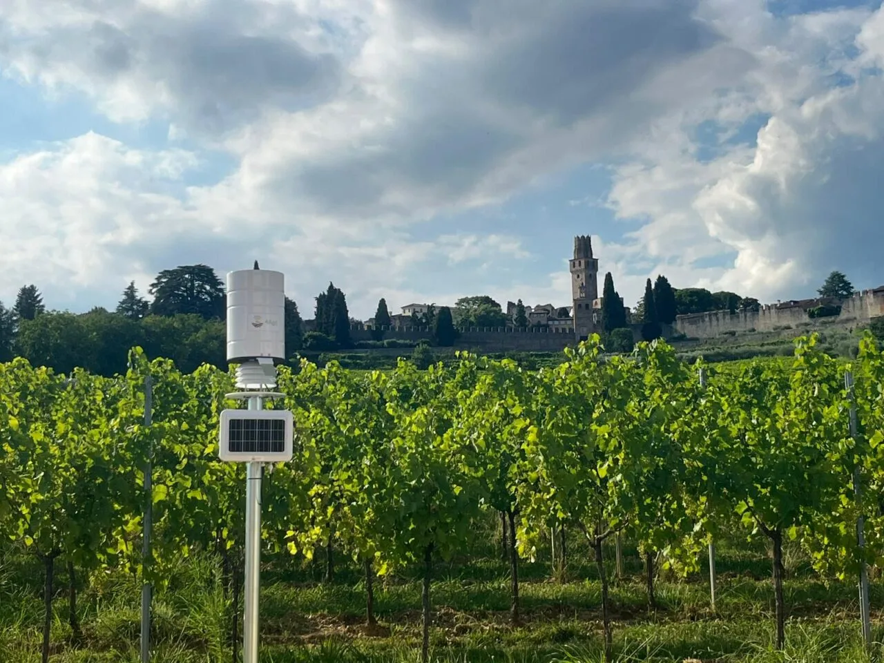 WhatsApp Image 2025-07-28 at 10.10.12 (2)