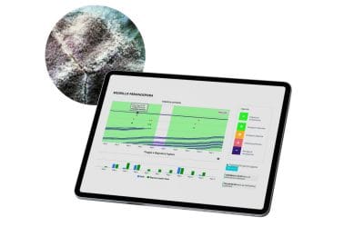 Monitoraggio capillare e continuo per una difesa efficace e tempestiva contro la Peronospora nel vigneto