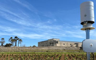 DSS 4Agri, Sensoristica e Difesa Integrata: L’Esperienza Agritech Academy 2025-26 attraverso il caso studio SA-VINO